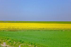 Ferienhaus Fischerkate am Deich