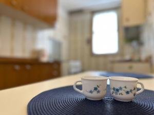 Central in Santa lucia 2BR-1BA