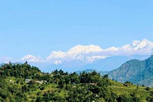 Silent Echo Farm Stay