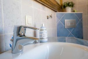 Wohnung 11 Friederike ID 406