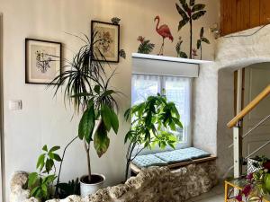 Maisons de vacances Maison - Charentaise de charme : photos des chambres