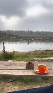Bamby Chilling House - Feel The Nature