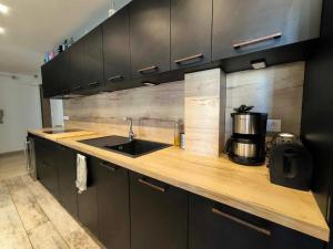 Appartement spacieux, parking, climatisation, rétroprojecteur