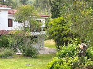 Villa Sea and Forest - Elani Halkidiki