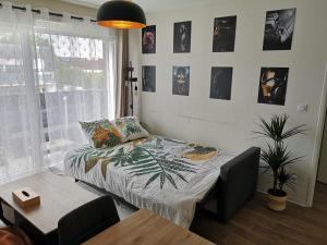 Superbe nid douillet 42m avec balcon et parking