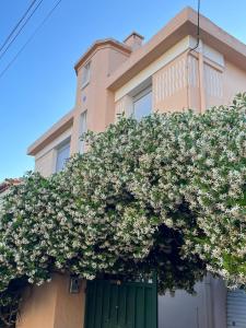 Villa belle époque idéalement située plage et centre ville