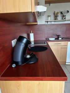 LErable T2 climatisé