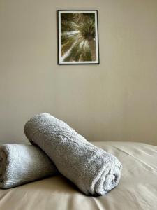 Appartements L-Erable T2 climatise : photos des chambres