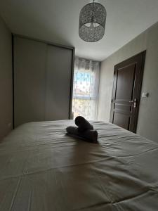 Appartements L-Erable T2 climatise : photos des chambres
