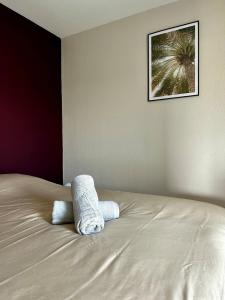 Appartements L-Erable T2 climatise : photos des chambres