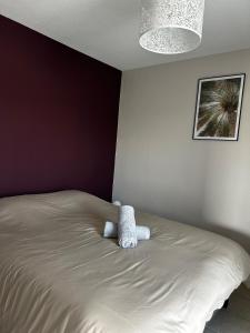 Appartements L-Erable T2 climatise : photos des chambres