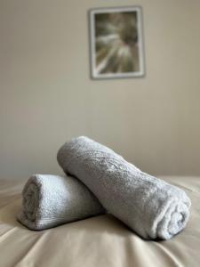 Appartements L-Erable T2 climatise : photos des chambres