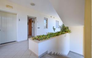 Pet Friendly Apartment