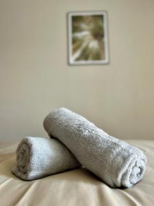 Appartements L-Erable T2 climatise : photos des chambres