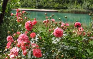 2 Bedroom Cozy Apartment In Obrovac