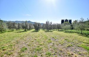 Cozy Home In Camaiore With Wifi