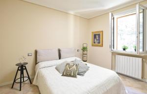 Pet Friendly Apartment