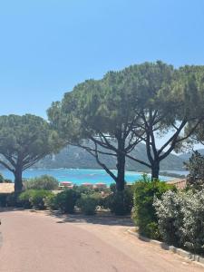 Appartements Apartment in Porto-Vecchio with pool : photos des chambres