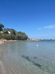 Appartements Apartment in Porto-Vecchio with pool : photos des chambres