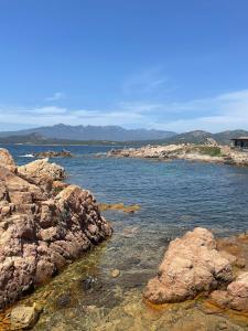 Appartements Apartment in Porto-Vecchio with pool : photos des chambres