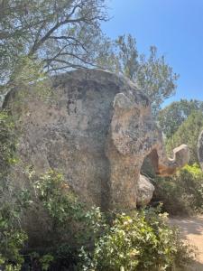 Appartements Apartment in Porto-Vecchio with pool : photos des chambres