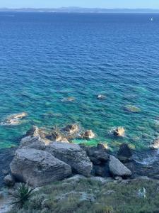 Appartements Apartment in Porto-Vecchio with pool : photos des chambres