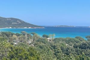 Appartements Apartment in Porto-Vecchio with pool : photos des chambres