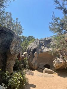 Appartements Apartment in Porto-Vecchio with pool : photos des chambres