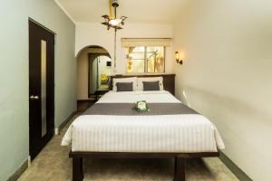 Collection O Casa Anzures Thematic, Mexico City