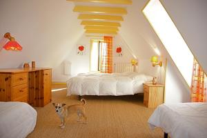 Maisons de vacances Les gites d-Auriac : photos des chambres