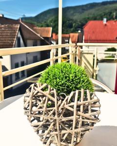 Apartment Pusteblume