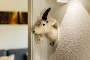 Harzglanz FeWos HARZbock