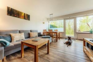 Harzglanz FeWos HARZbock