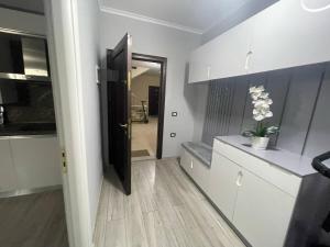 Marys luxury apartment Pogradec 1