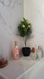 Cocoon Ny - DURBUY