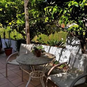 Estudio limonero en Sant Cebriá de Vallalta 20 playa