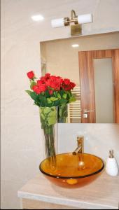 Apartmany u Polanských Lednice