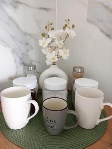 Apartament LAKE z widokiem na jezioro Jakuba