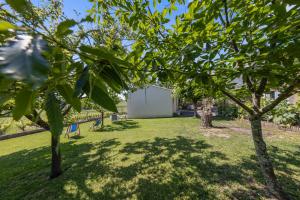 Appartements Au coeur des vignes : photos des chambres