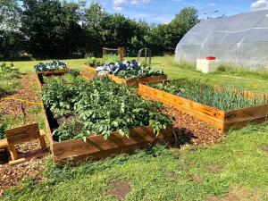 Houses & Hottub - Food Forest Valthe