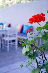 Bay's Spetses Greece