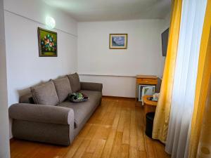 Double Room room in Hotel Horezu