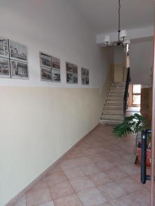 ASFODELIA-CORALLO img16