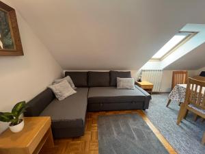 Apartments and Rooms Tajcr 