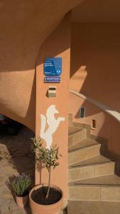 Apartments Montenegrina