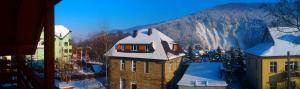 Deluxe Double Room with Balcony room in Guest House Shafran