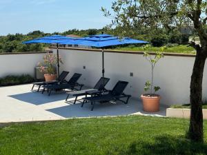 Villa Victoria Istra - heated pool