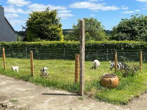 Maisons de vacances Ty roparzh : photos des chambres