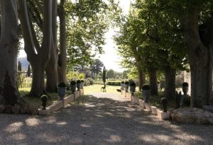 Grand T2 Domaine de prestige au cœur des Vignes