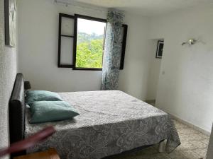 Appartements Appartement convivial a Marignana, proche de la nature : photos des chambres